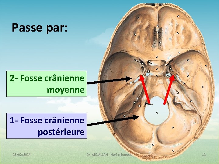 Passe par: 2 - Fosse crânienne moyenne 1 - Fosse crânienne postérieure 18/02/2014 Dr. Passe par: 2 - Fosse crânienne moyenne 1 - Fosse crânienne postérieure 18/02/2014 Dr.