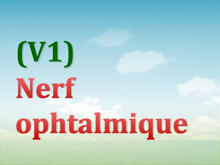 (V 1) Nerf ophtalmique 