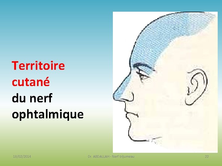 Territoire cutané du nerf ophtalmique 18/02/2014 Dr. ABDALLAH - Nerf trijumeau 22 Territoire cutané du nerf ophtalmique 18/02/2014 Dr. ABDALLAH - Nerf trijumeau 22