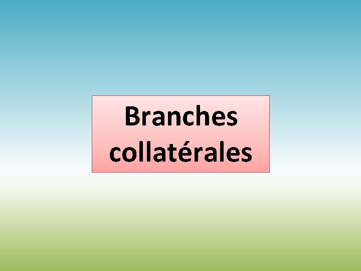 Branches collatérales Branches collatérales