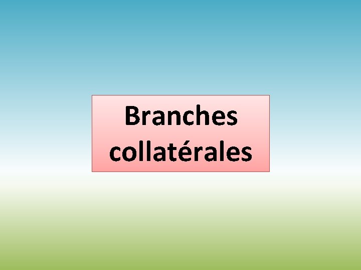 Branches collatérales 