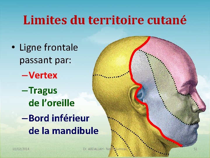 Limites du territoire cutané • Ligne frontale passant par: – Vertex – Tragus de Limites du territoire cutané • Ligne frontale passant par: – Vertex – Tragus de