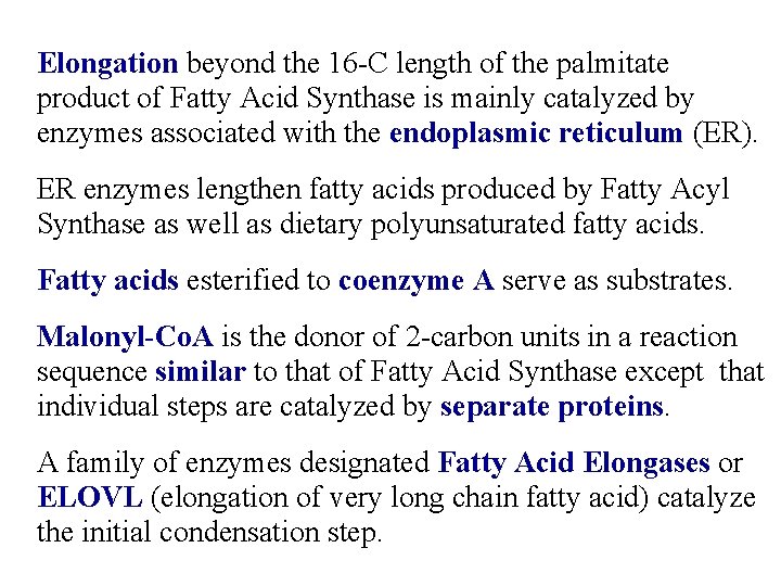 Elongation beyond the 16 -C length of the palmitate product of Fatty Acid Synthase