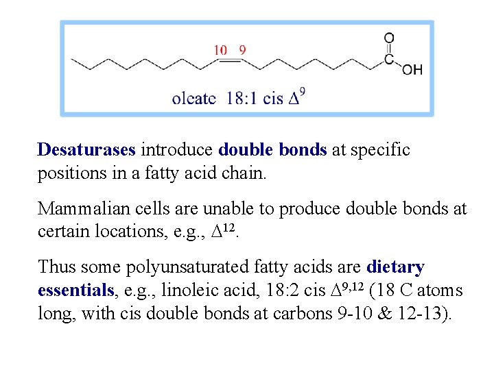 Desaturases introduce double bonds at specific positions in a fatty acid chain. Mammalian cells