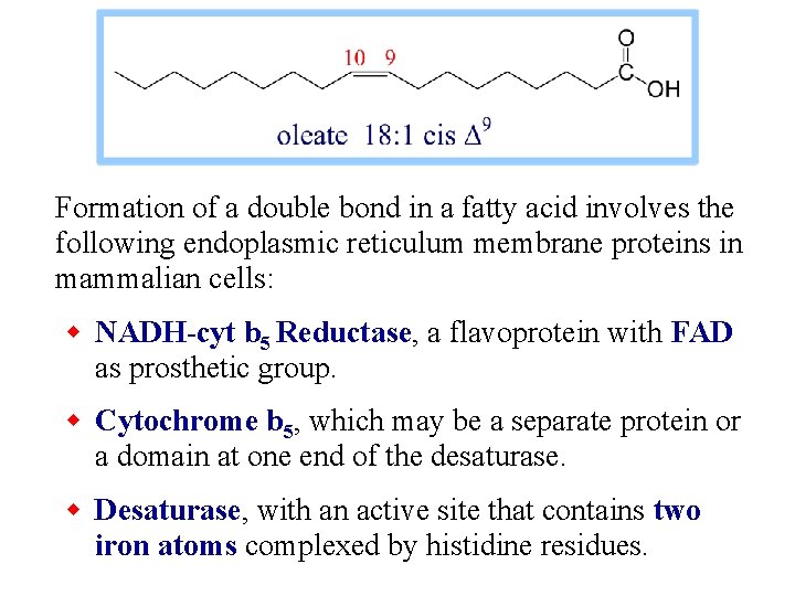 Formation of a double bond in a fatty acid involves the following endoplasmic reticulum