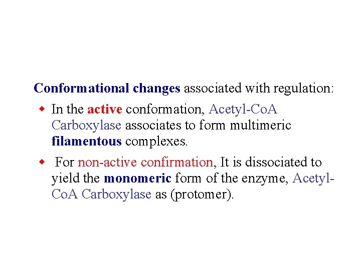 Conformational changes associated with regulation: w In the active conformation, Acetyl-Co. A Carboxylase associates