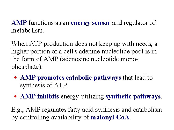 AMP functions as an energy sensor and regulator of metabolism. When ATP production does