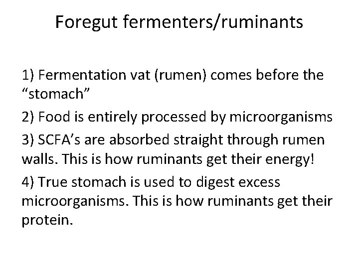 Foregut fermenters/ruminants 1) Fermentation vat (rumen) comes before the “stomach” 2) Food is entirely