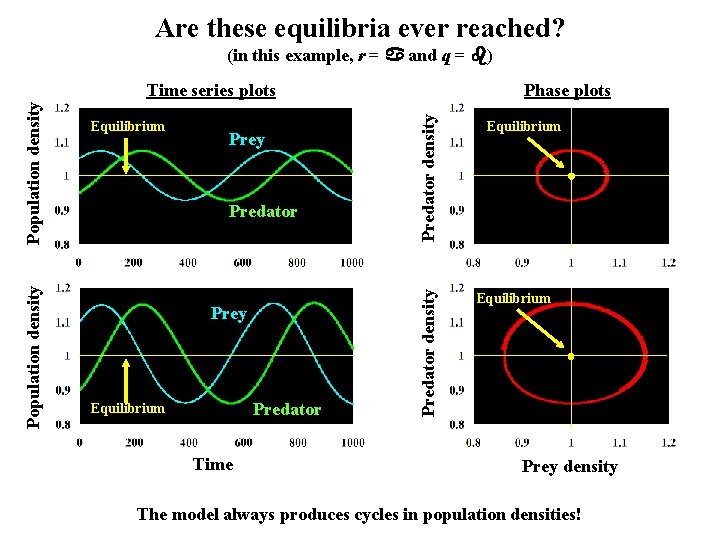 Are these equilibria ever reached? (in this example, r = and q = )
