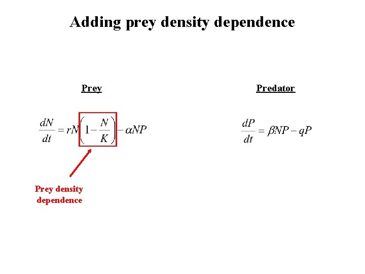 Adding prey density dependence Prey density dependence Predator 