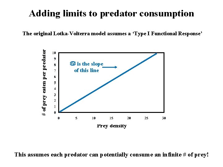 Adding limits to predator consumption # of prey eaten per predator The original Lotka-Volterra