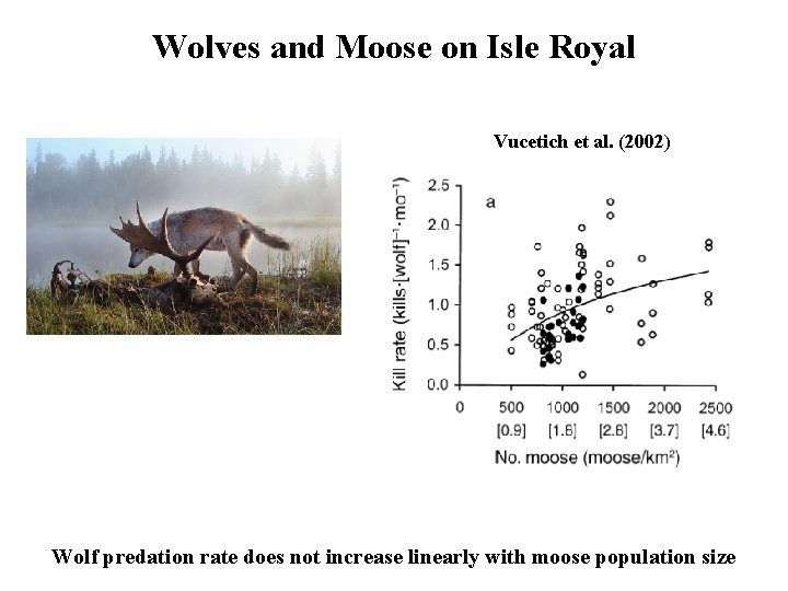 Wolves and Moose on Isle Royal Vucetich et al. (2002) Wolf predation rate does