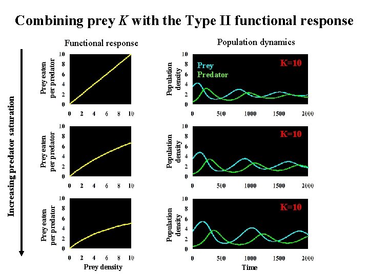Population density Prey eaten per predator Increasing predator saturation Combining prey K with the