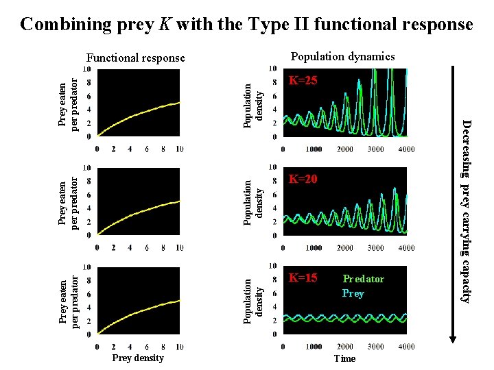 Combining prey K with the Type II functional response Population dynamics Population density Prey