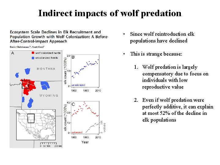 Indirect impacts of wolf predation • Since wolf reintroduction elk populations have declined •