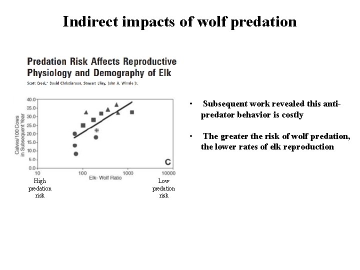 Indirect impacts of wolf predation High predation risk Low predation risk • Subsequent work