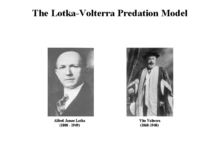 The Lotka-Volterra Predation Model Alfred James Lotka (1880 - 1949) Vito Volterra (1860 -1940)