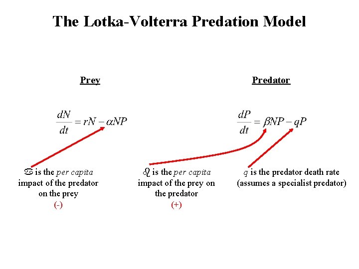 The Lotka-Volterra Predation Model Prey is the per capita impact of the predator on