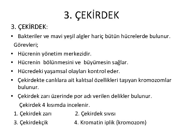 3. ÇEKİRDEK: • Bakteriler ve mavi yeşil algler hariç bütün hücrelerde bulunur. Görevleri; •