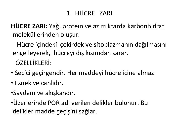 1. HÜCRE ZARI: Yağ, protein ve az miktarda karbonhidrat moleküllerinden oluşur. Hücre içindeki çekirdek