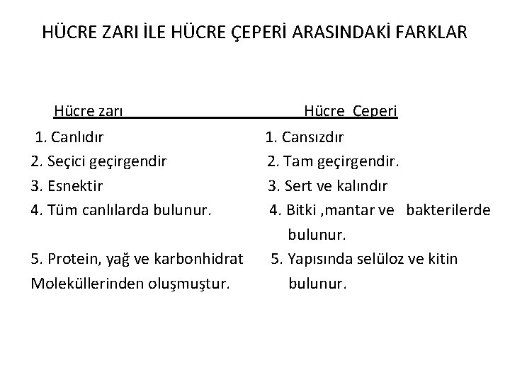 HÜCRE ZARI İLE HÜCRE ÇEPERİ ARASINDAKİ FARKLAR Hücre zarı 1. Canlıdır 2. Seçici geçirgendir