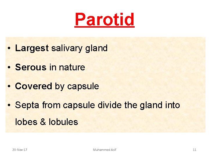 Parotid • Largest salivary gland • Serous in nature • Covered by capsule • Parotid • Largest salivary gland • Serous in nature • Covered by capsule •