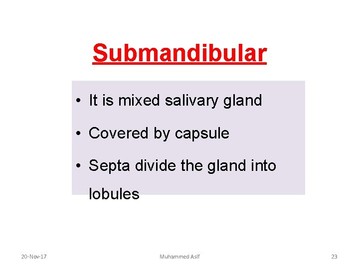 Submandibular • It is mixed salivary gland • Covered by capsule • Septa divide Submandibular • It is mixed salivary gland • Covered by capsule • Septa divide