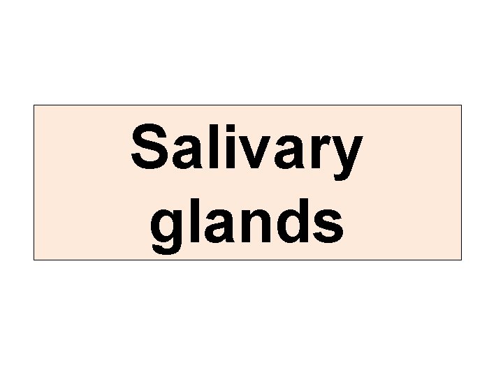 Salivary glands Salivary glands