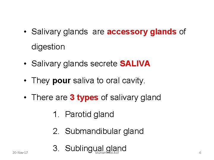 • Salivary glands are accessory glands of digestion • Salivary glands secrete SALIVA • Salivary glands are accessory glands of digestion • Salivary glands secrete SALIVA