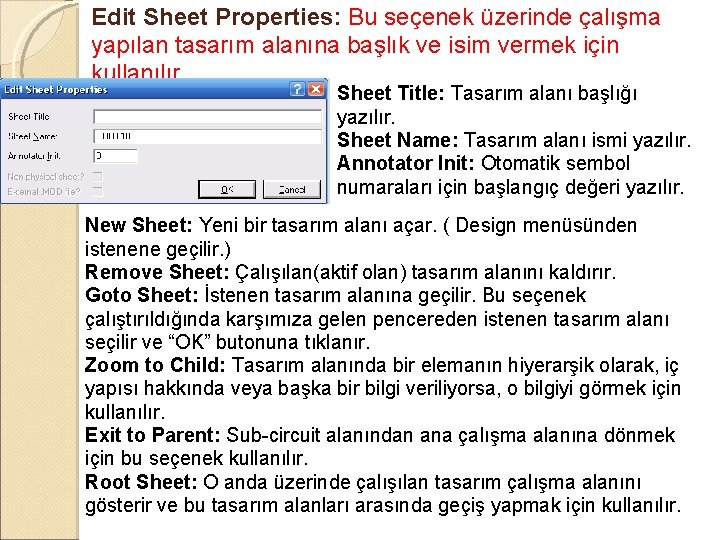 Edit Sheet Properties: Bu seçenek üzerinde çalışma yapılan tasarım alanına başlık ve isim vermek