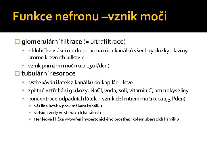 Funkce nefronu –vznik moči � glomerulární filtrace (= ultrafiltrace) z klubíčka vlásečnic do proximálních