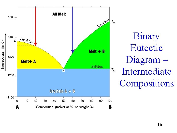 Binary Eutectic Diagram – Intermediate Compositions 10 