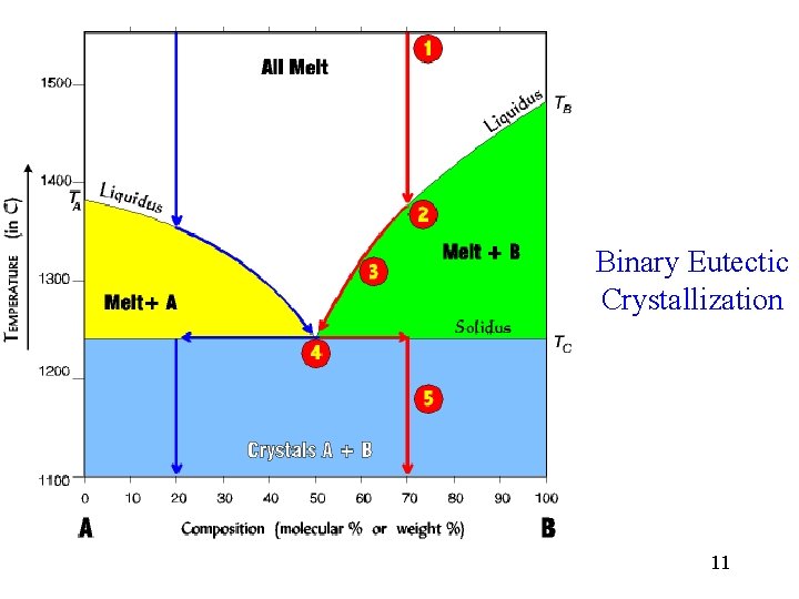 Binary Eutectic Crystallization 11 
