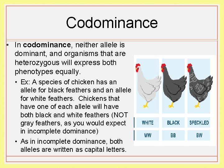 Codominance • In codominance, neither allele is dominant, and organisms that are heterozygous will