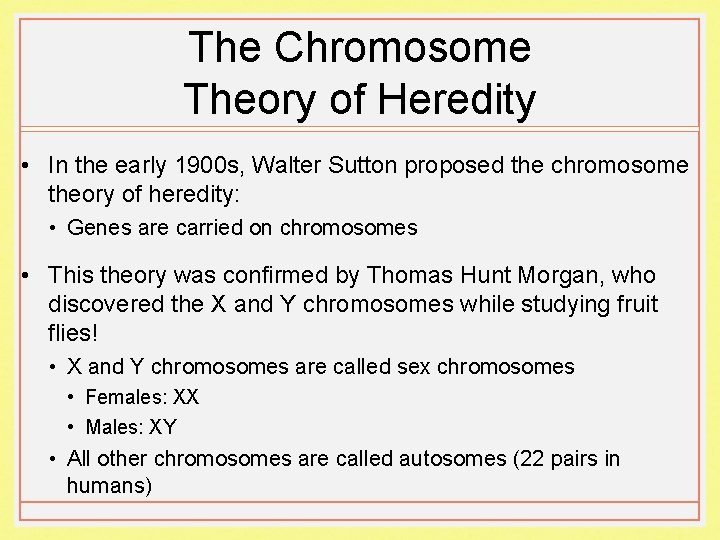 The Chromosome Theory of Heredity • In the early 1900 s, Walter Sutton proposed