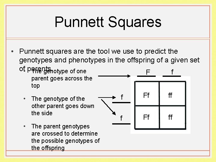 Punnett Squares • Punnett squares are the tool we use to predict the genotypes