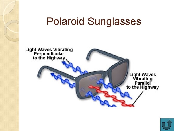 Polaroid Sunglasses 