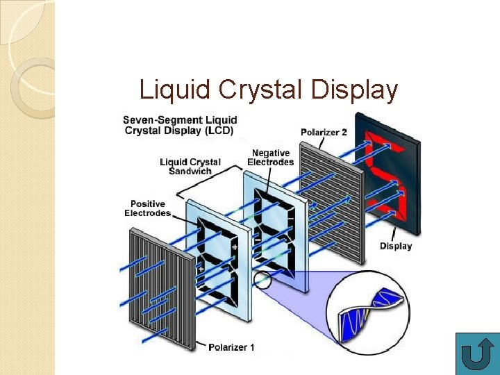 Liquid Crystal Display 