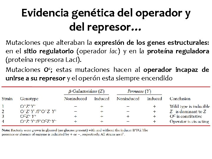 Evidencia genética del operador y del represor… Mutaciones que alteraban la expresión de los