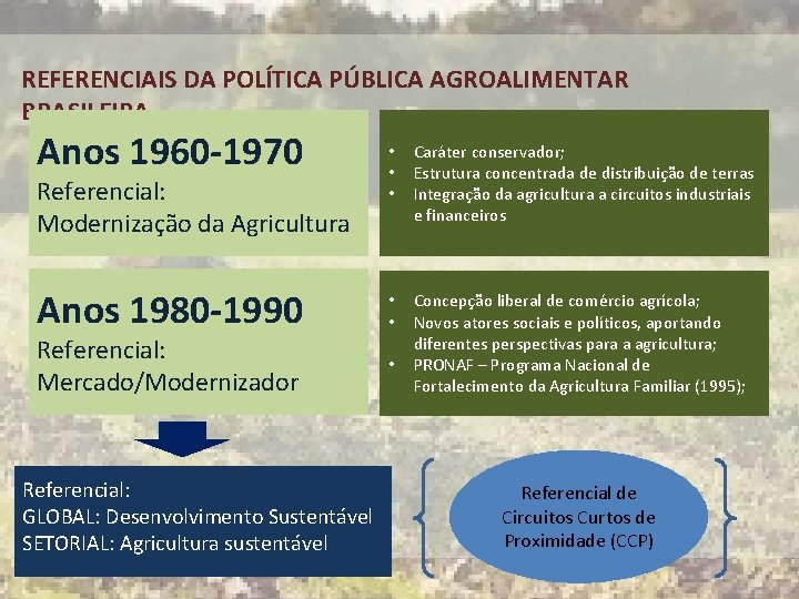 REFERENCIAIS DA POLÍTICA PÚBLICA AGROALIMENTAR BRASILEIRA Anos 1960 -1970 Referencial: Modernização da Agricultura Anos