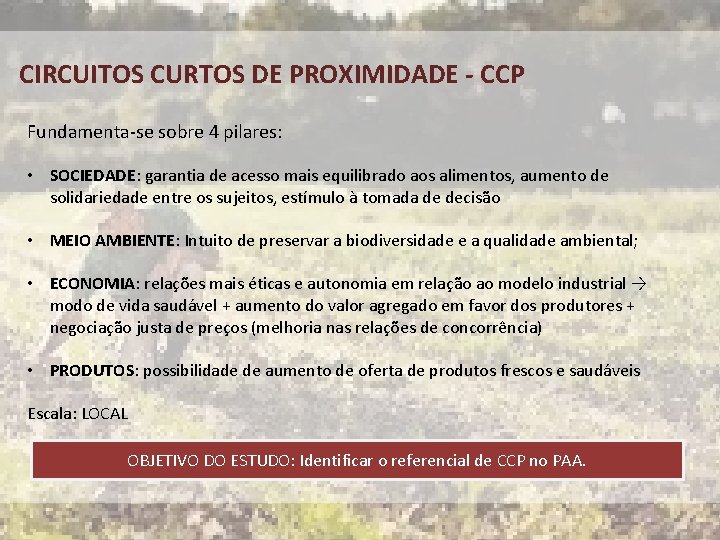CIRCUITOS CURTOS DE PROXIMIDADE - CCP Fundamenta-se sobre 4 pilares: • SOCIEDADE: garantia de