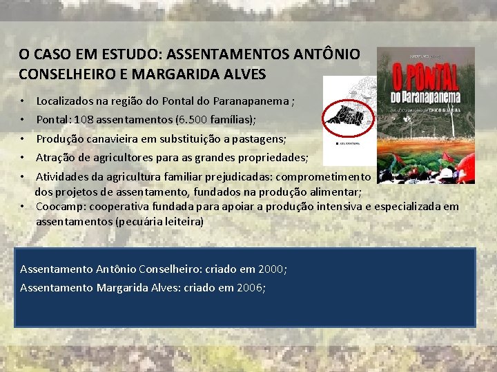 O CASO EM ESTUDO: ASSENTAMENTOS ANTÔNIO CONSELHEIRO E MARGARIDA ALVES • • • Localizados