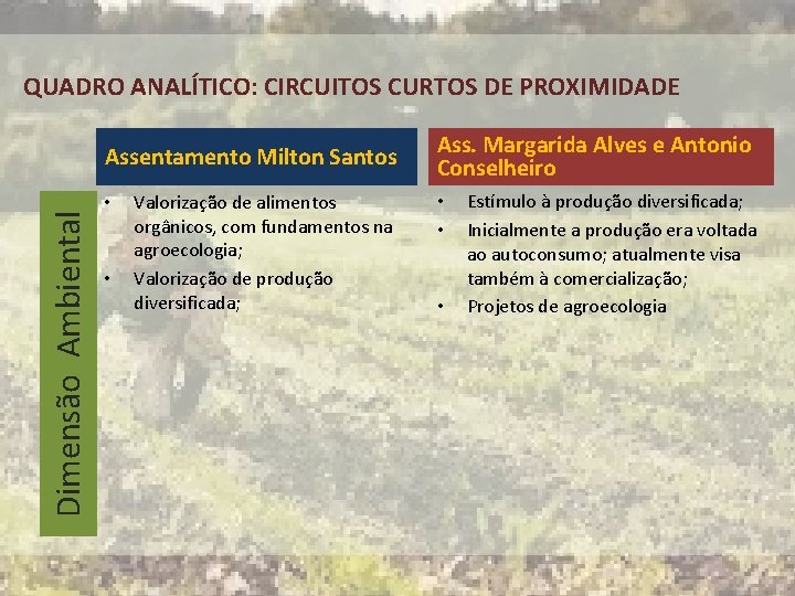 QUADRO ANALÍTICO: CIRCUITOS CURTOS DE PROXIMIDADE Dimensão Ambiental Assentamento Milton Santos • • Valorização