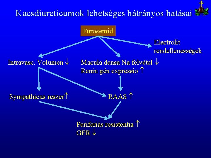 Kacsdiureticumok lehetséges hátrányos hatásai Furosemid Electrolit rendellenességek Intravasc. Volumen Macula densa Na felvétel Renin