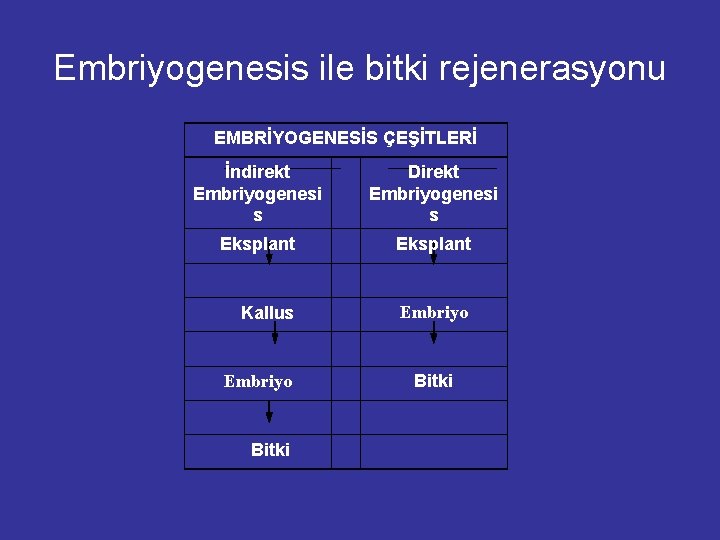 Embriyogenesis ile bitki rejenerasyonu EMBRİYOGENESİS ÇEŞİTLERİ İndirekt Embriyogenesi s Direkt Embriyogenesi s Eksplant Kallus