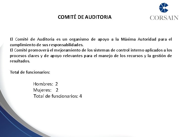 COMITÉ DE AUDITORIA El Comité de Auditoria es un organismo de apoyo a la