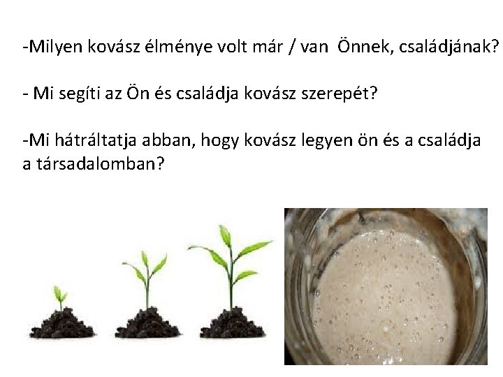 -Milyen kovász élménye volt már / van Önnek, családjának? - Mi segíti az Ön