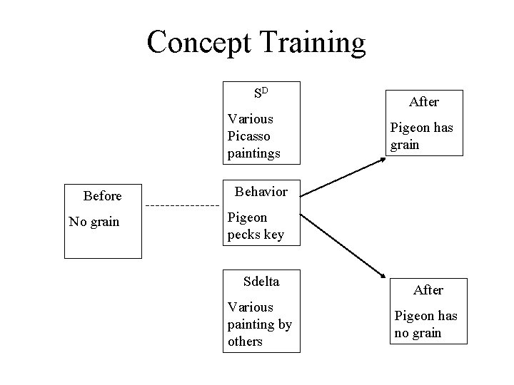 Concept Training SD Various Picasso paintings Before Behavior No grain Pigeon pecks key Sdelta