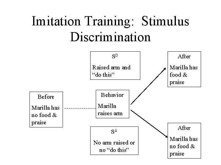 Imitation Training: Stimulus Discrimination SD Raised arm and “do this” Before Behavior Marilla has