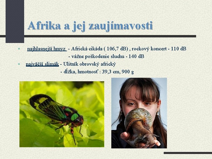 Afrika a jej zaujímavosti § § najhlasnejší hmyz - Africká cikáda ( 106, 7